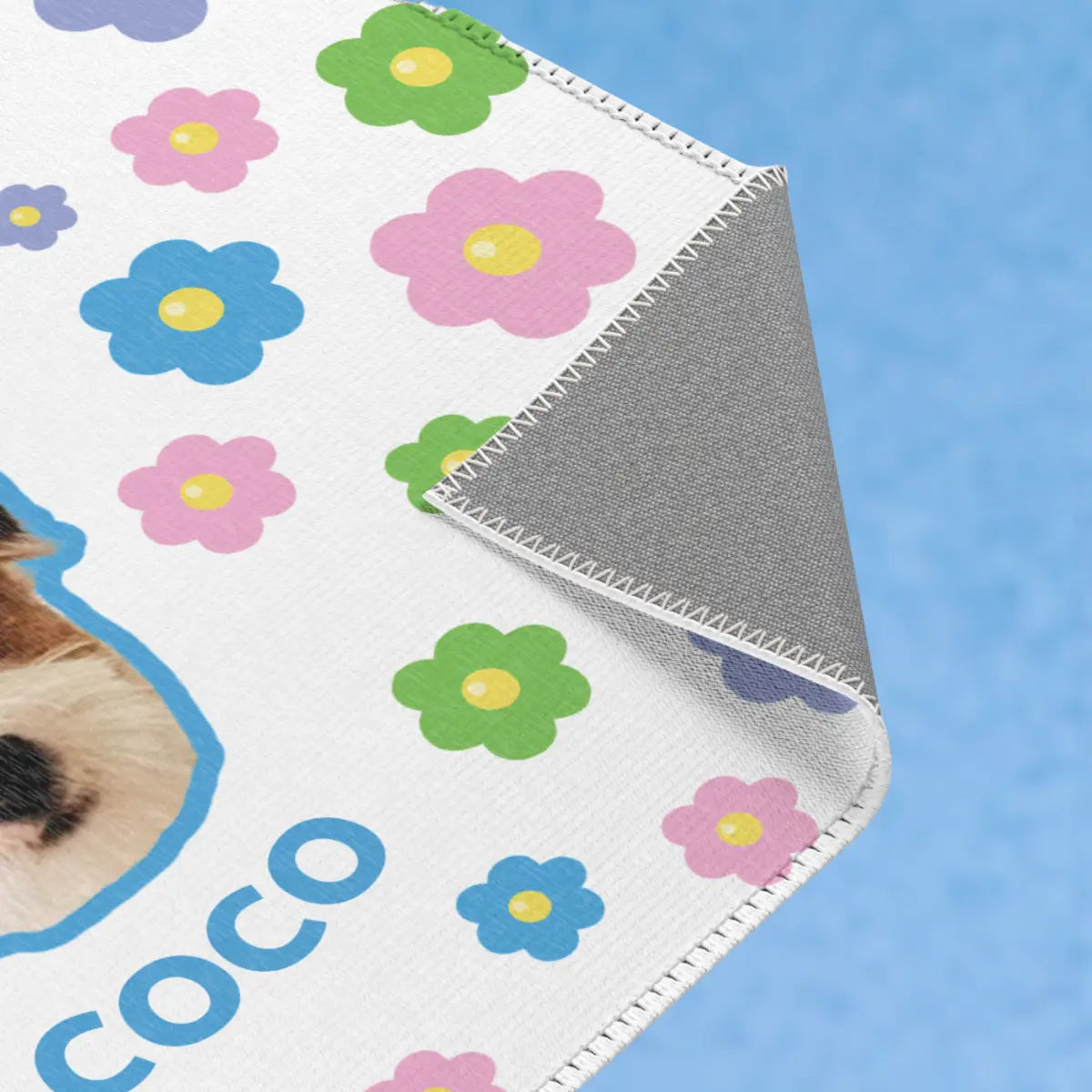 Custom Pet Face carpet