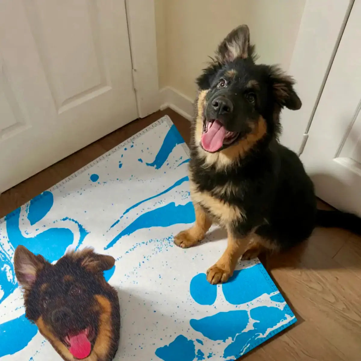 Custom Pet Face carpet