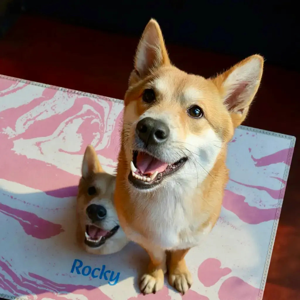 Custom Pet Face carpet