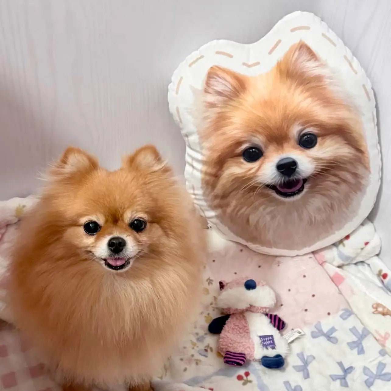 Custom Pet Face Pillow
