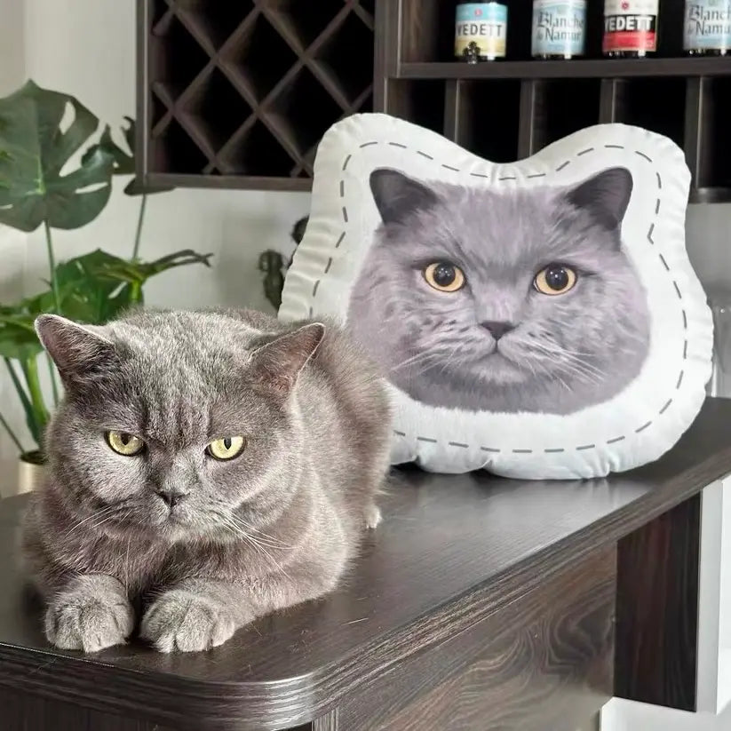 Custom Pet Face Pillow