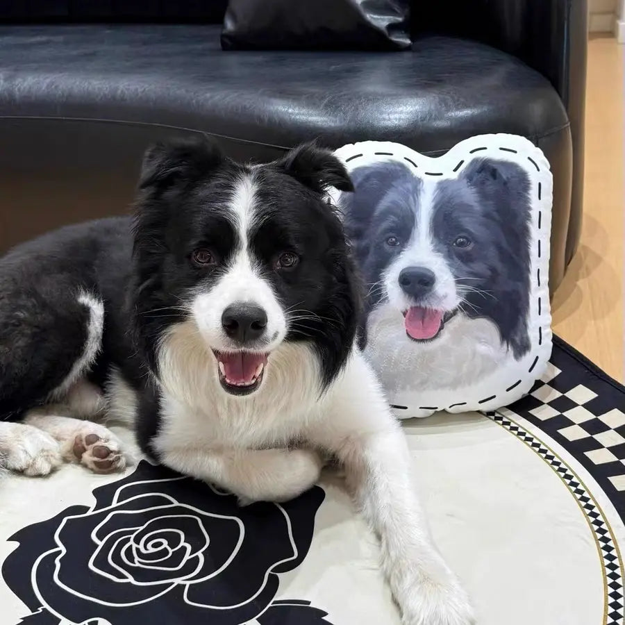 Custom Pet Face Pillow