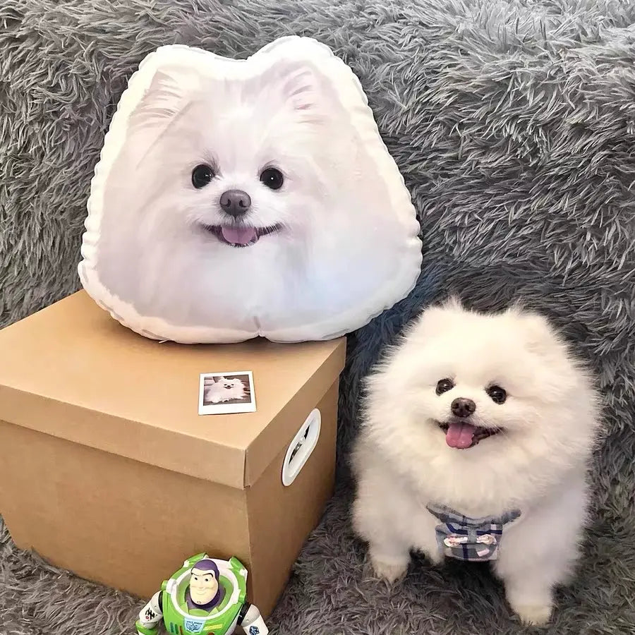 Custom Pet Face Pillow