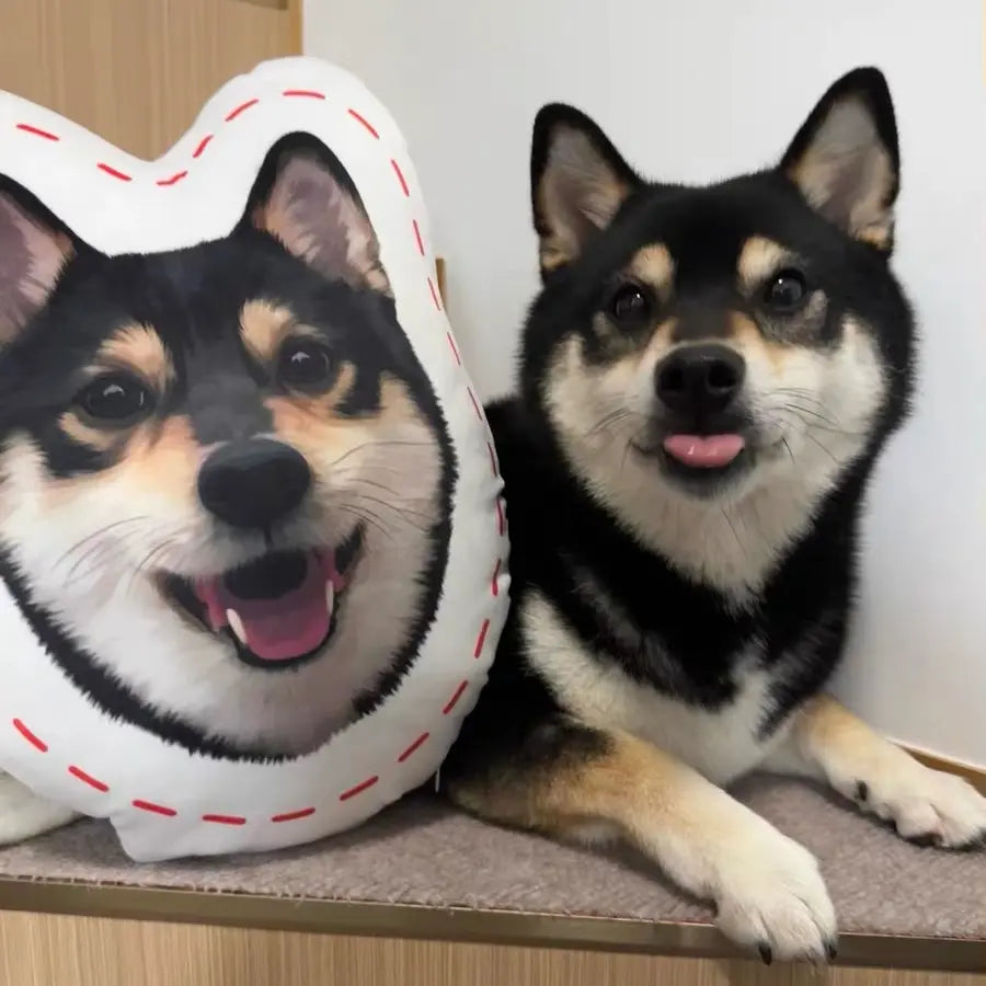 Custom Pet Face Pillow