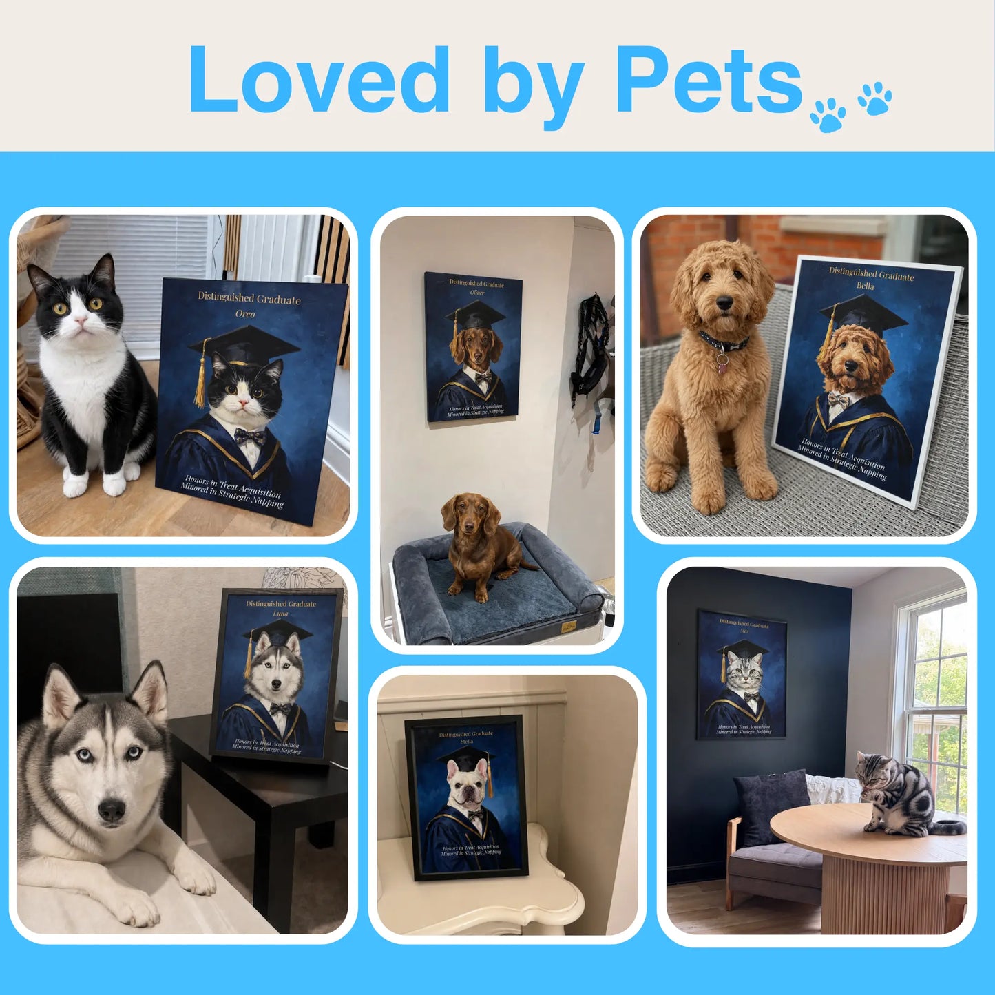 Custom Pet Graduation Portrait